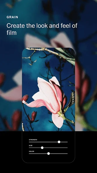 Magnolia film grain in VSCO
